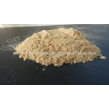 Export Quality Dehydrated Garlic Powder